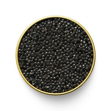 White Sturgeon Caviar (10 Gram Tin, Elberta, California